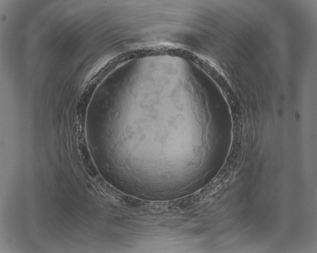 X0000066110871200603101203