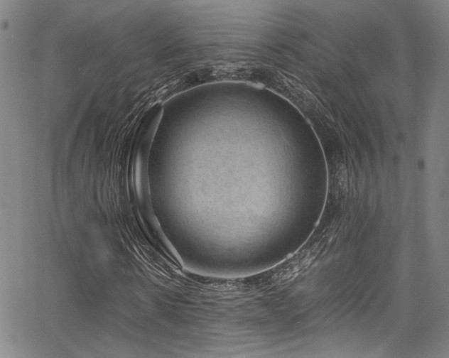 X0000066110914200603101202
