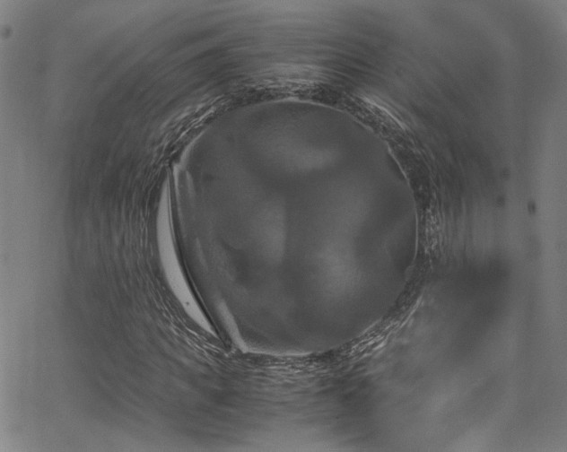 X0000066110917200603101202