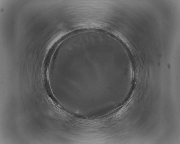X0000066110975200603101202