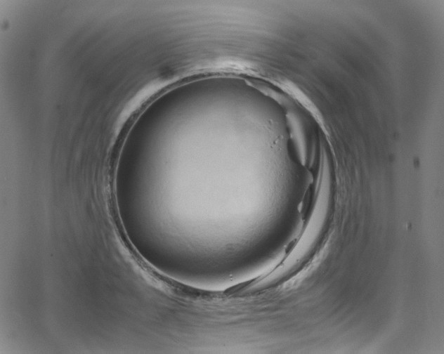 X0000066110989200603101202