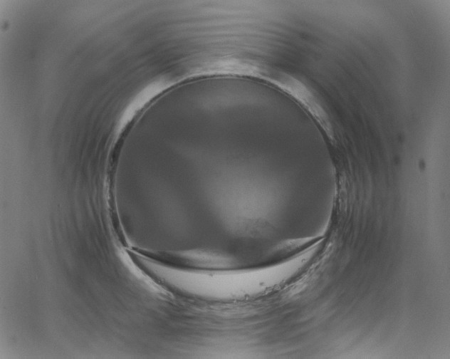 X0000066110998200603101201