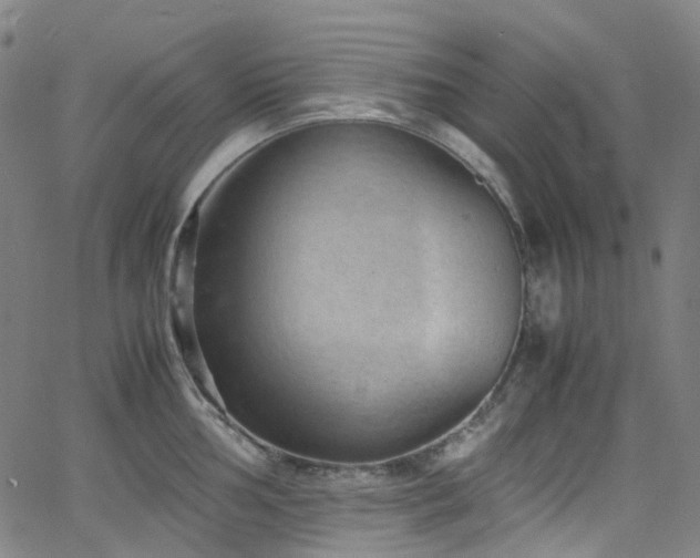 X0000066111002200603101201