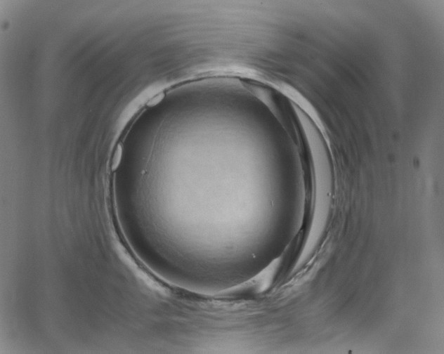 X0000066111005200603101201