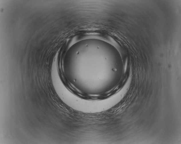 X0000066111010200603101200