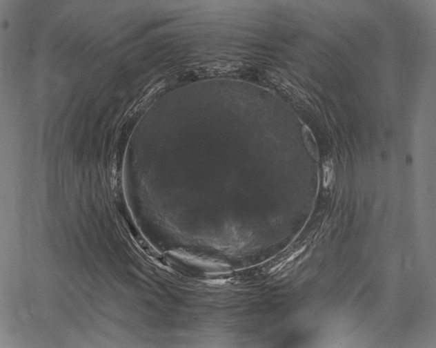 X0000066111011200603101200