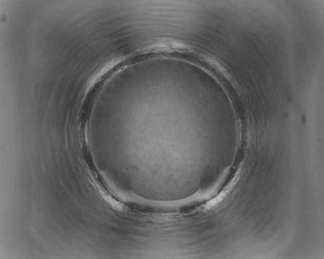 X0000066111018200603101201