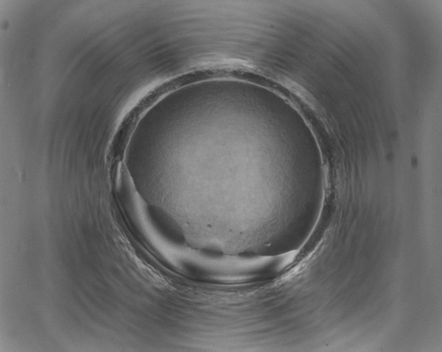 X0000066111022200603101201