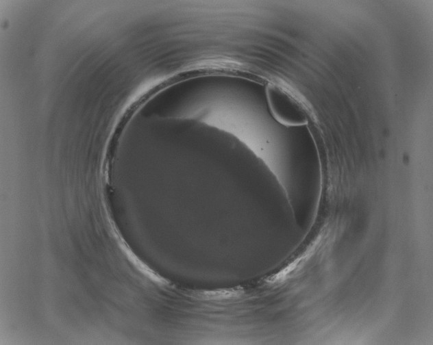 X0000066111037200603101201