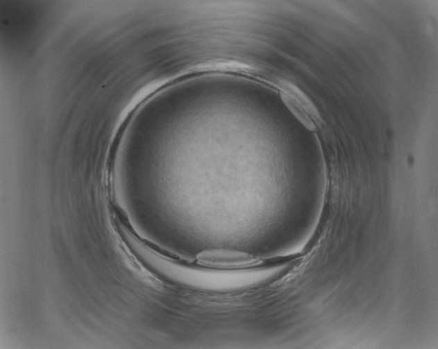 X0000066111044200603101201