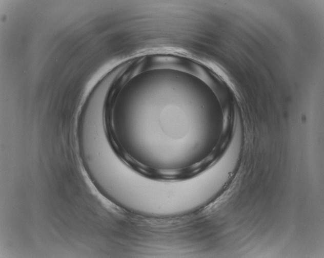 X0000066111046200603101201