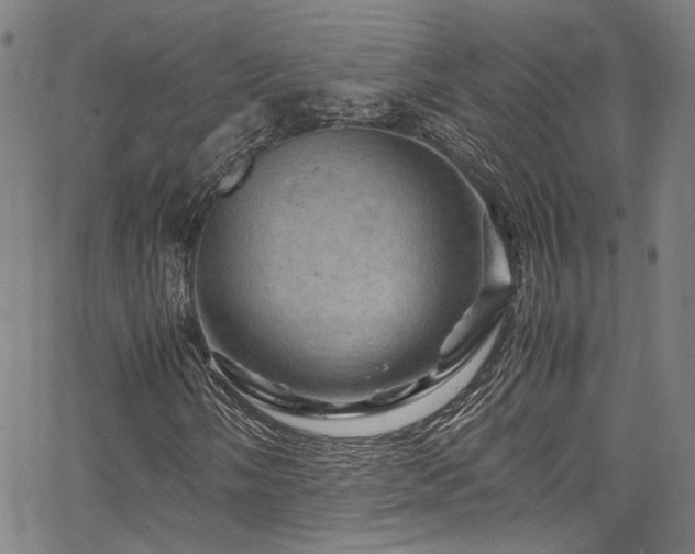 X0000066111058200603101200