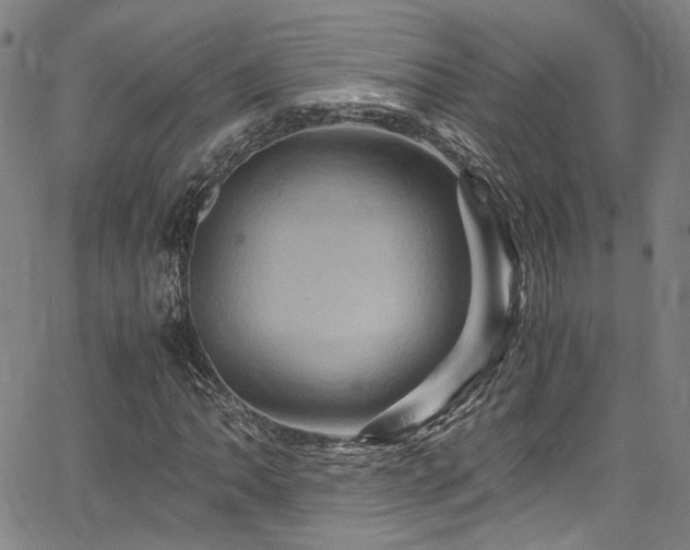 X0000066111062200603101200