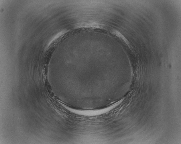 X0000066111064200603101200