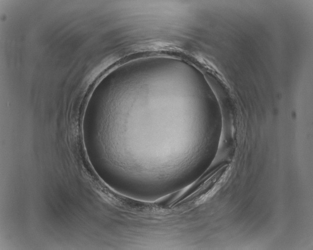 X0000066111073200603101200