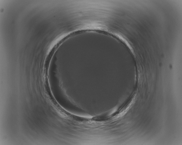 X0000066111077200603101200