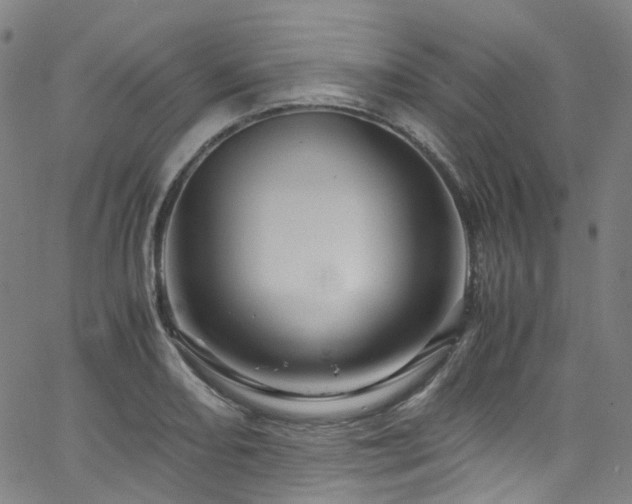 X0000066111082200603101200