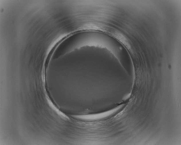 X0000066111084200603101200