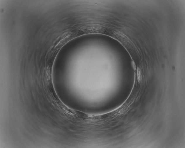 X0000066111107200603101159