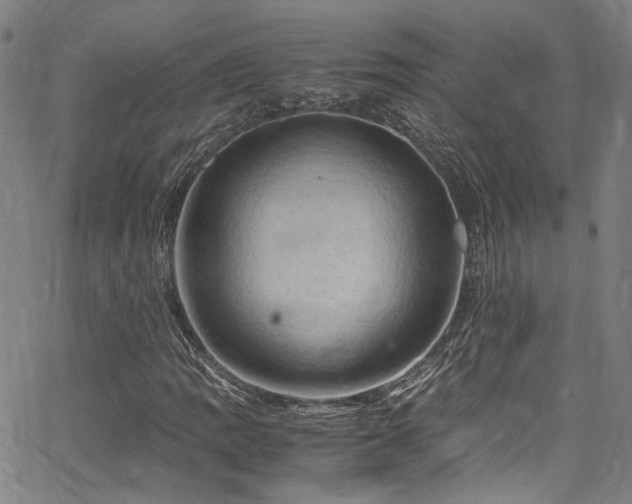 X0000066111109200603101159