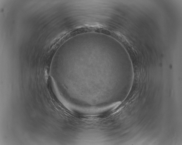 X0000066111110200603101159