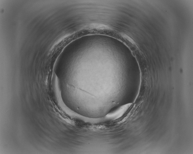 X0000066111112200603101159