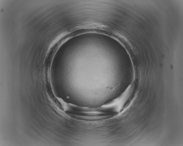 X0000066111114200603101159