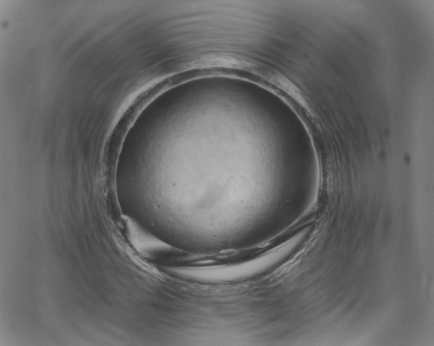 X0000066111116200603101159