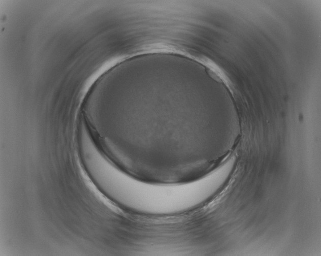 X0000066111142200603101159
