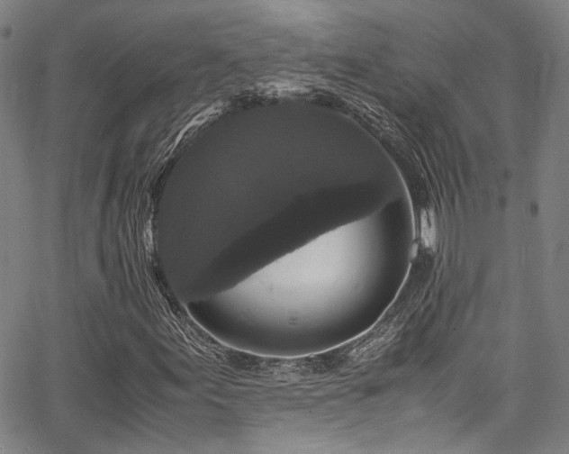 X0000066111155200603101159