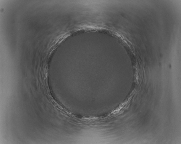 X0000066111157200603101159