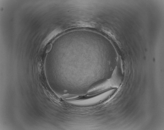 X0000066111163200603101159