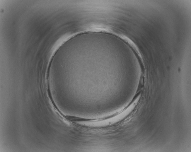 X0000066111191200603101158