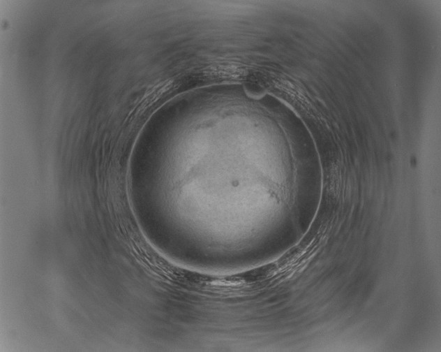 X0000066111201200603101157