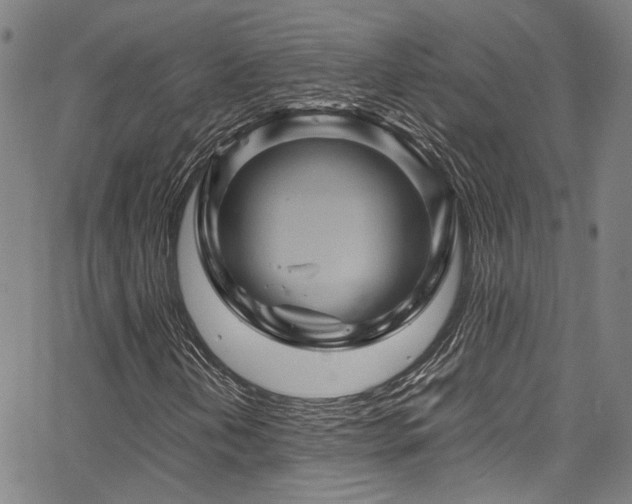X0000066111202200603101157