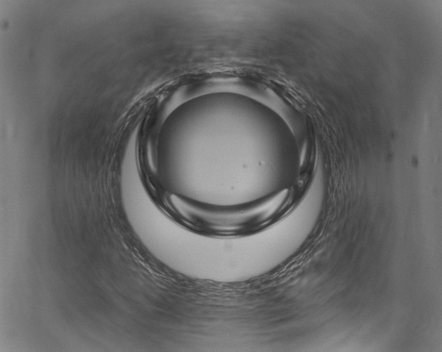 X0000066111206200603101157