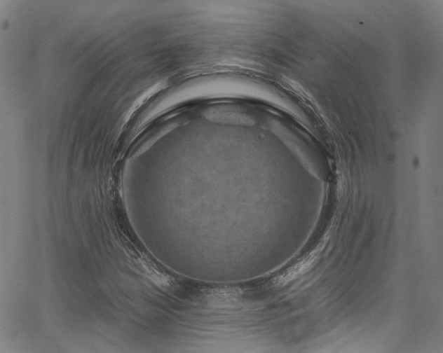 X0000066111210200603101157