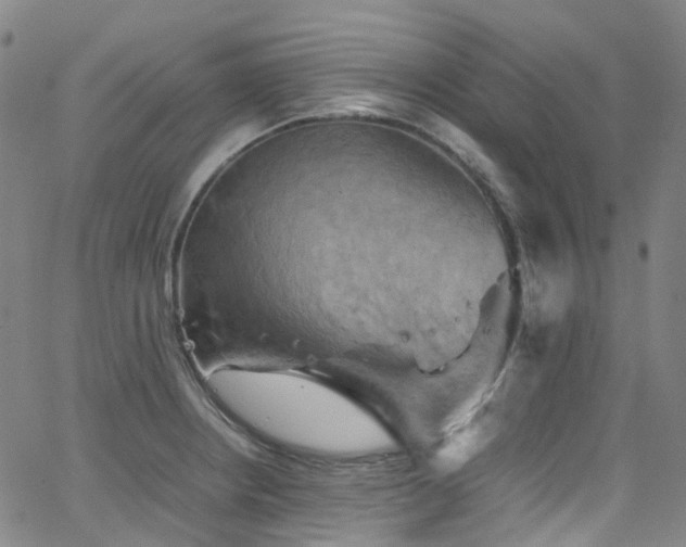 X0000066111234200603101158