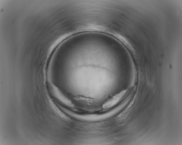 X0000066111238200603101158