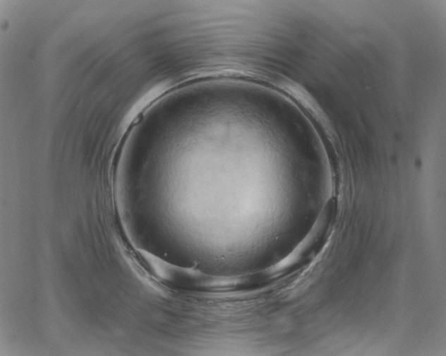 X0000066111242200603101158