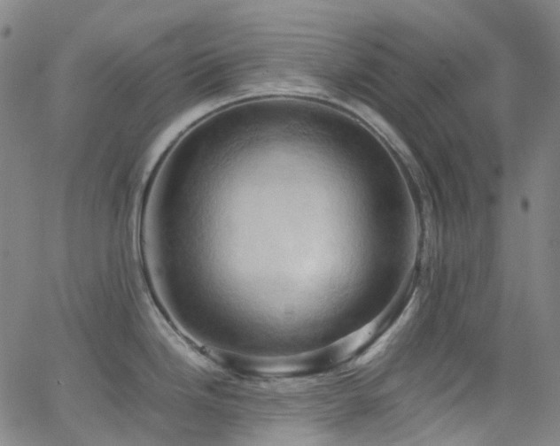 X0000066111246200603101158
