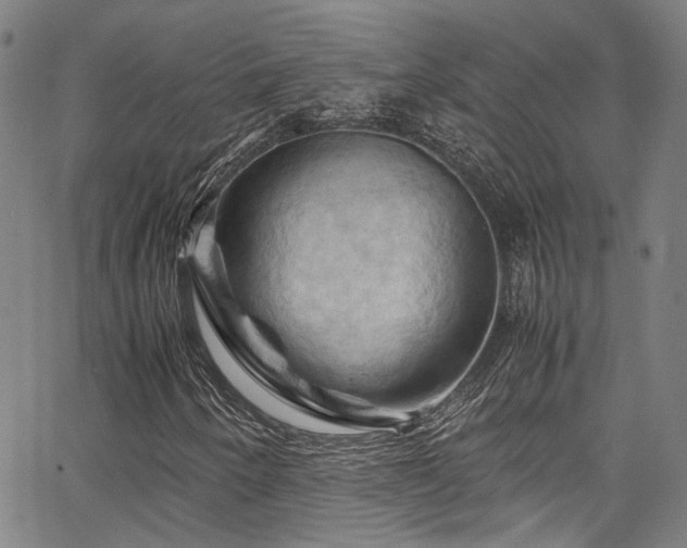 X0000066111250200603101157