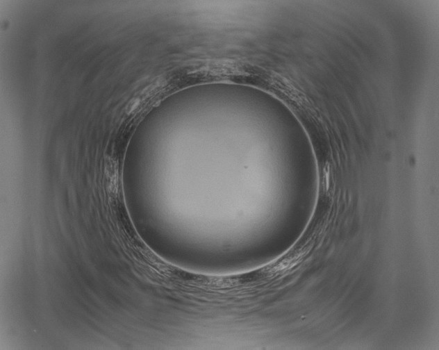 X0000066111251200603101157