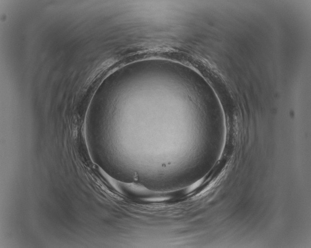 X0000066111257200603101157