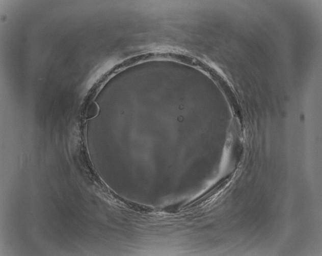 X0000066111263200603101157