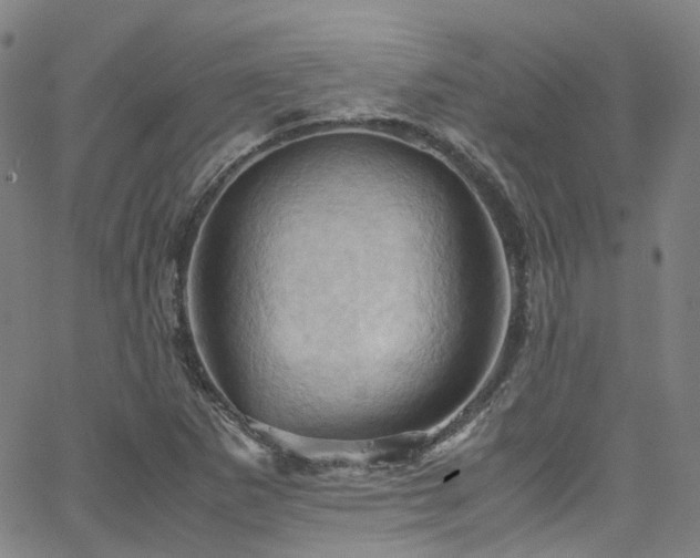 X0000066111265200603101157