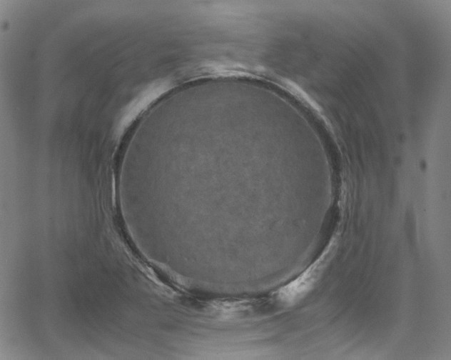 X0000066111269200603101157