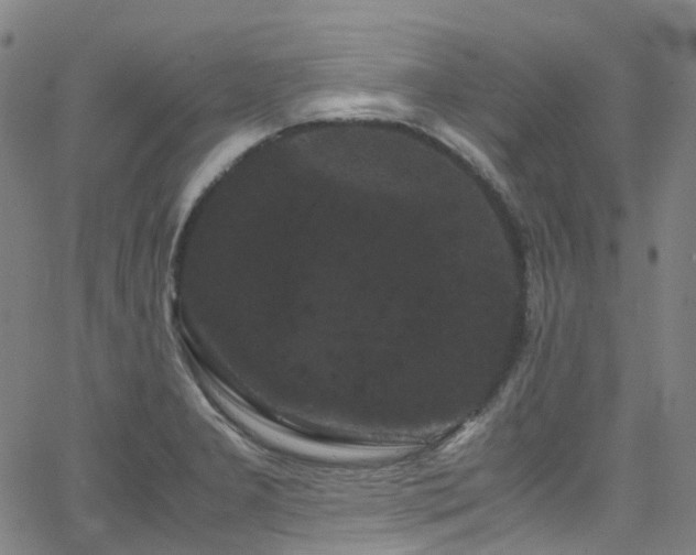 X0000066111277200603101157