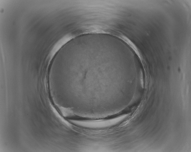X0000066111293200603101157