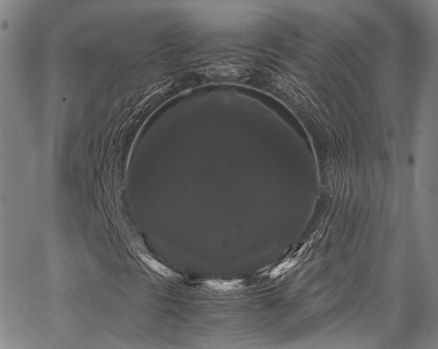 X0000066111297200603101156